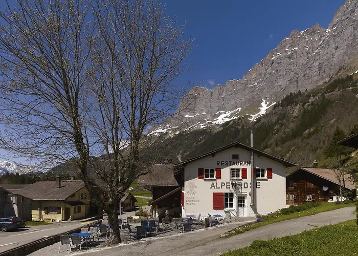 Estalagem Alpenrose Gadmen - Gasthaus Gadmen