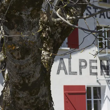 Alpenrose Gadmen - Gasthaus 3* Gadmen